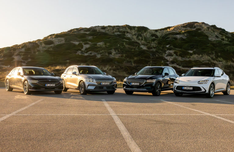 Besuchen Sie uns im Northern Lights Concept Store in Westerland und entdecken Sie unsere Modelle in entspannter Atmosphäre.